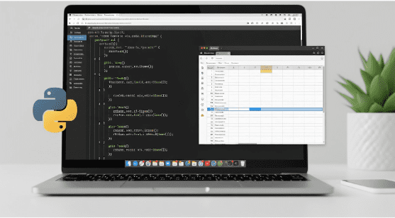 Python script automating data entry into spreadsheet on laptop