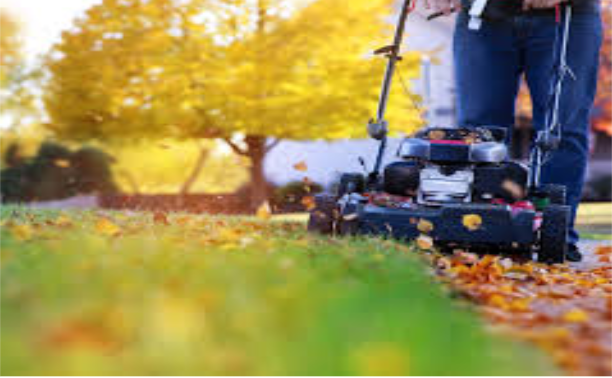 Man mowing lawn with fallen autumn leaves in yard maintenance.